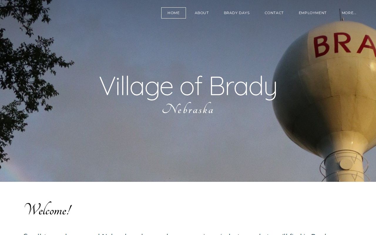 Brady court docket research image showing the official Brady village homepage and community information